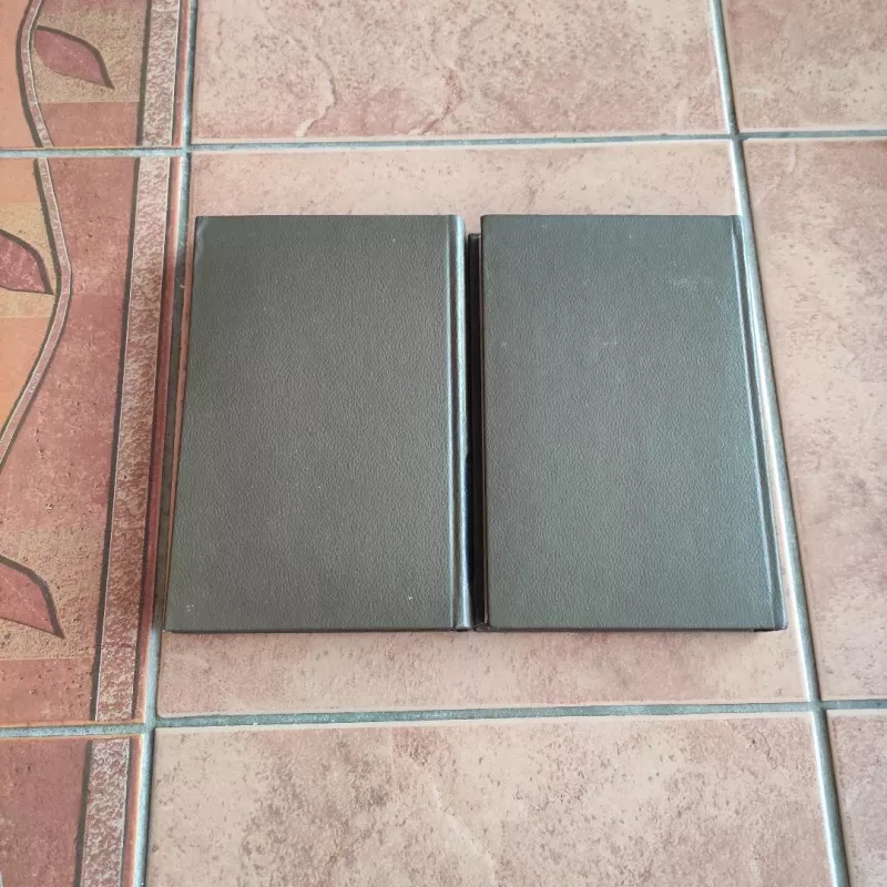 Nusikaltimas ir bausmė (2 knygos) - Fiodoras Dostojevskis, knyga 5