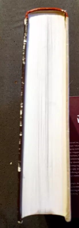 Seniausiosios lietuvių literatūros istorija ir chrestomatija - Algimantas Bučys, knyga 4