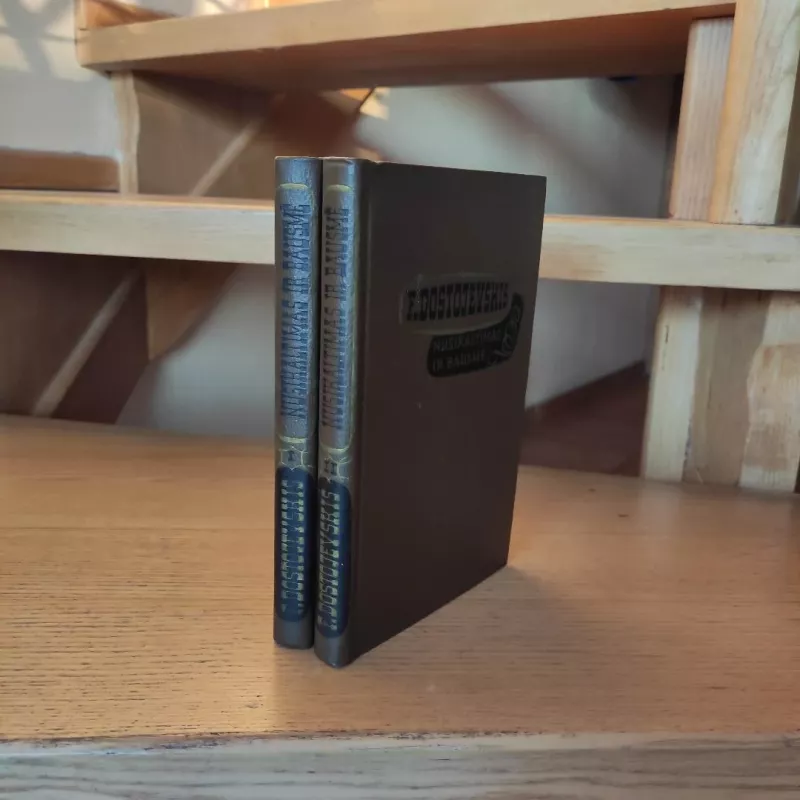 Nusikaltimas ir bausmė (2 knygos) - Fiodoras Dostojevskis, knyga 4