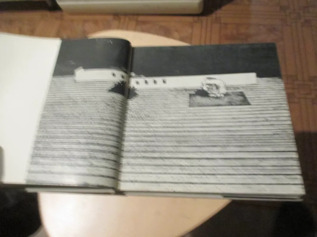 Lietuvos Nerija - B. Orentaitė, knyga 6