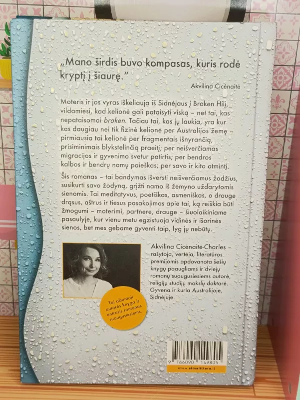 Anglų kalbos žodynas - Akvilina Cicėnaitė, knyga 3