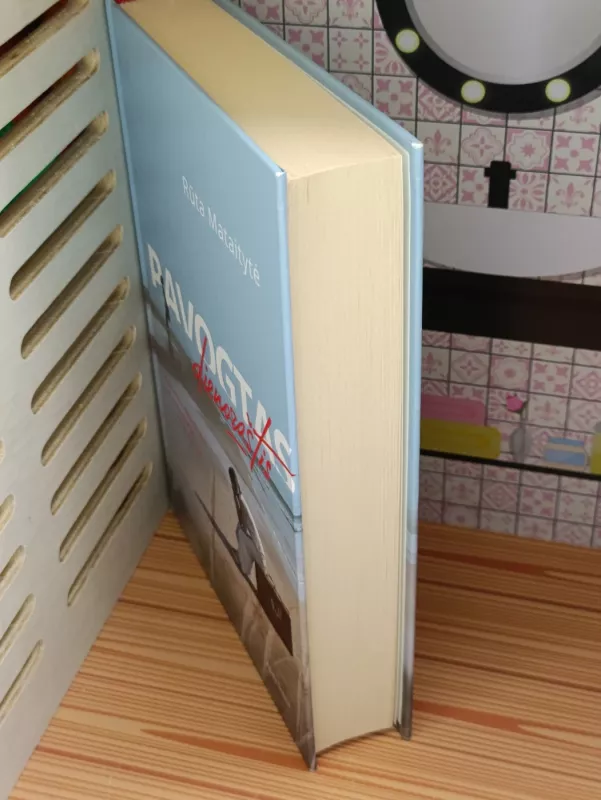 Pavogtas dienoraštis - Rūta Mataitytė, knyga 4