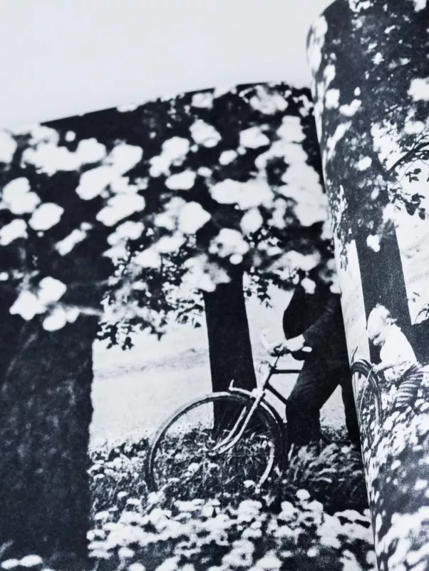 Žydėjimas - Romualdas Rakauskas, knyga 2