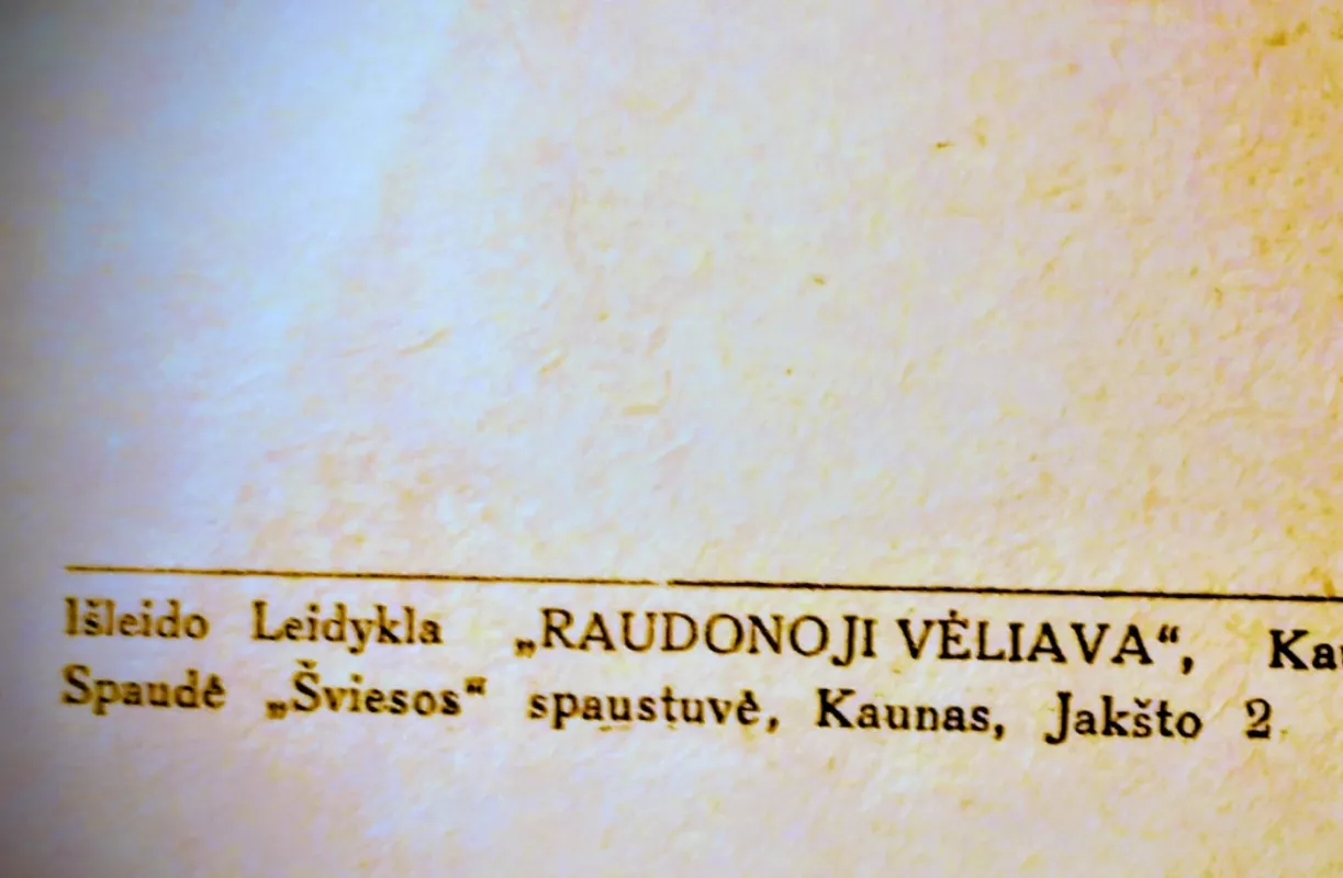 Baudžiauninkai - J. Marcinkevičius, knyga 5