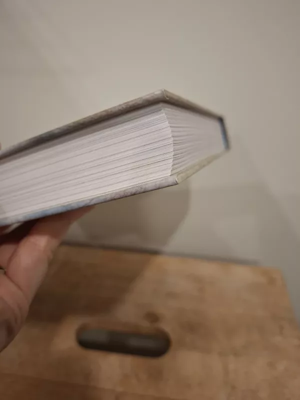 Tomo Sojerio nuotykiai - Mark Twain, knyga 5