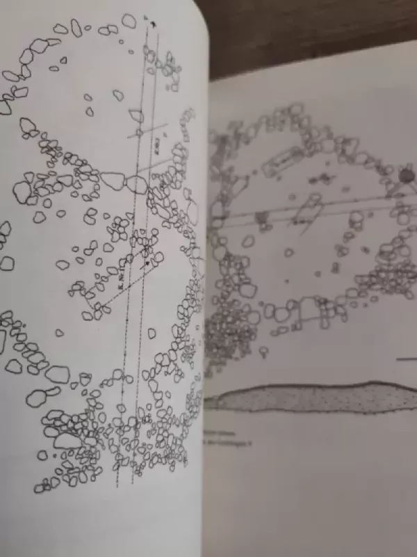 Paragaudžio pilkapynas - Mykolas Michelbertas, ir kt. , knyga 6