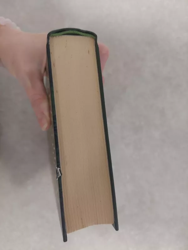 Vienuolės paslaptis - Abraham Verghese, knyga 4