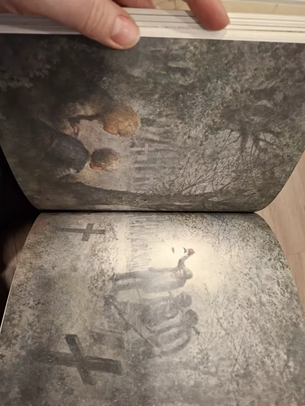 Tomo Sojerio nuotykiai - Mark Twain, knyga 3