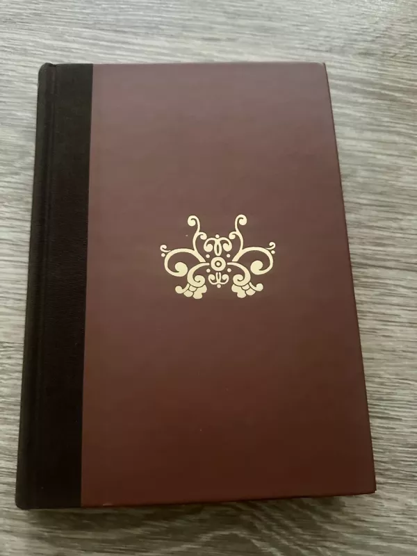 Kelionė namo: amerikiečio jogo autobiografija - Radhanatha Svamis, knyga 3