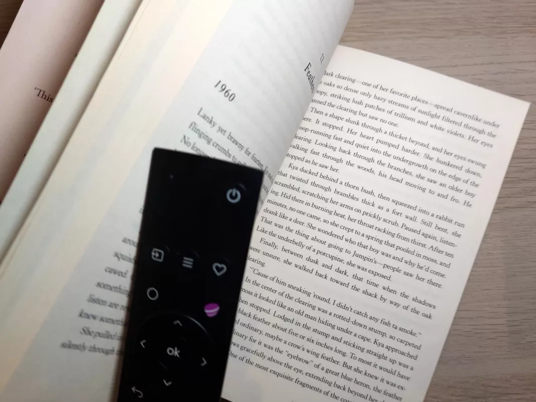 Where the Crawdads Sing - Delia Owens, knyga 6