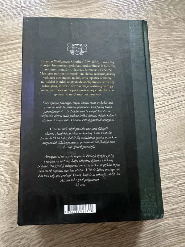 Vilhelmo Meisterio mokymosi metai - Johann Wolfgang Goethe, knyga 3