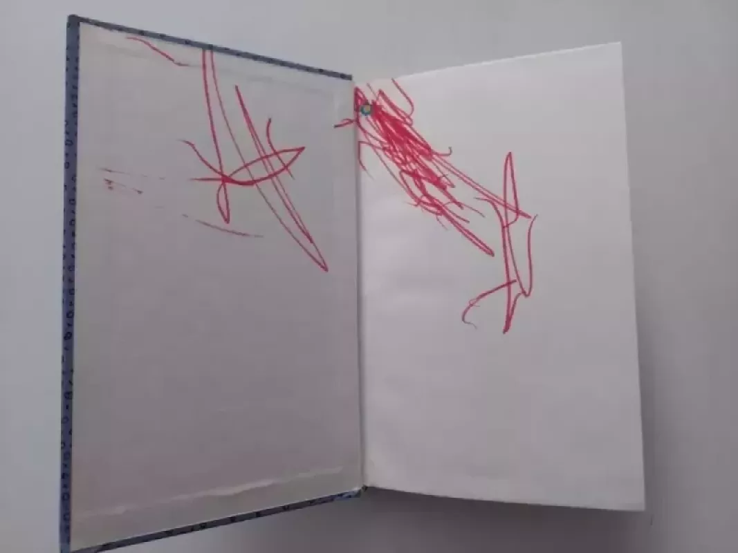 Lota iš pramuštgalvių gatvės - Astrid Lindgren, knyga 3