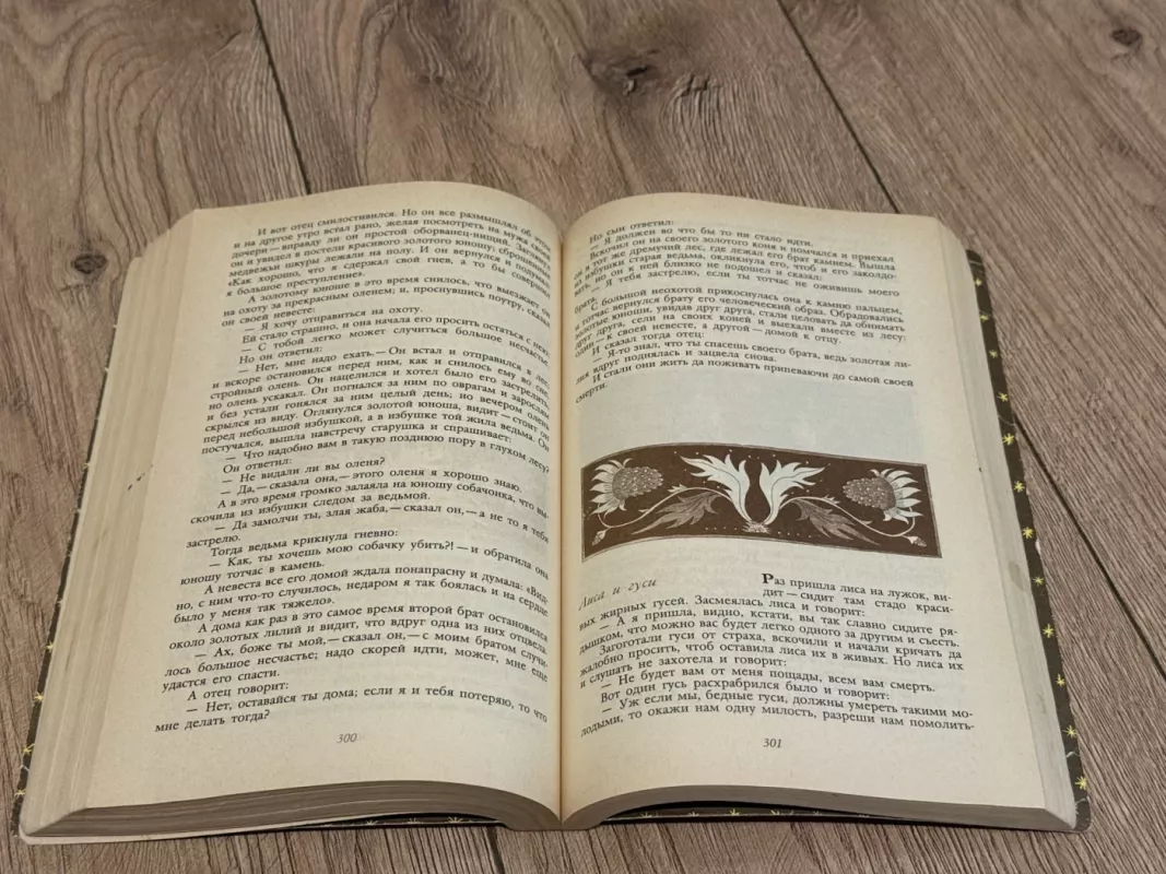 Grimmų broliai. Pasakos - V. Grimm, knyga 6