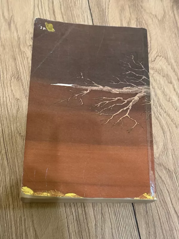 Grimmų broliai. Pasakos - V. Grimm, knyga 4