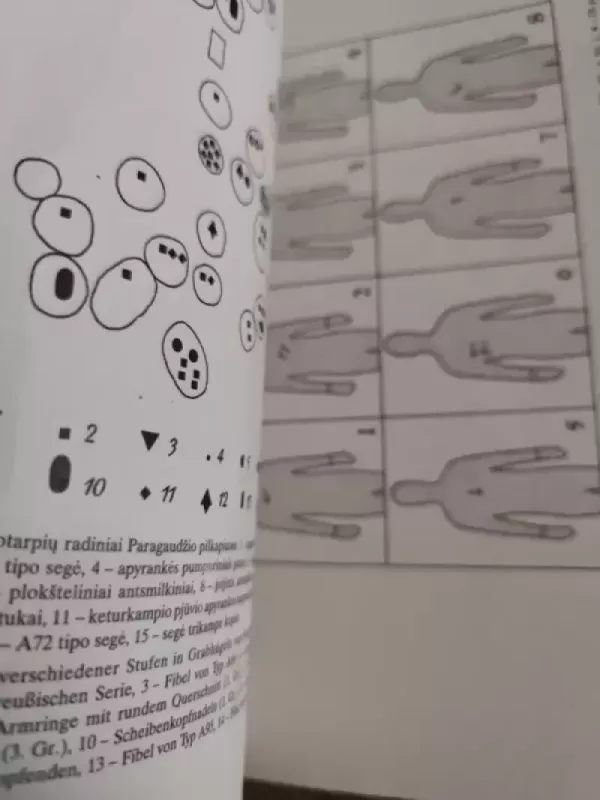 Paragaudžio pilkapynas - Mykolas Michelbertas, ir kt. , knyga 5