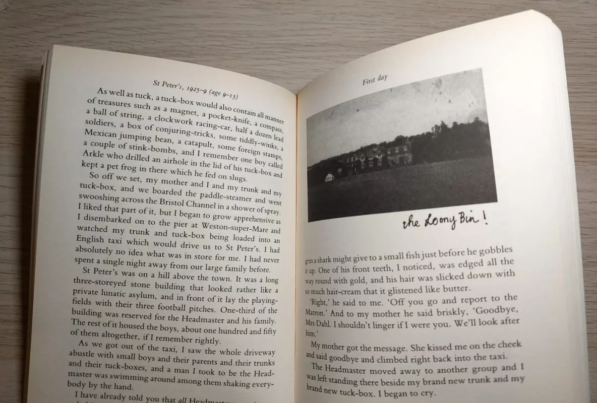 Boy Tales of Childhood - Roald Dahl, knyga 5