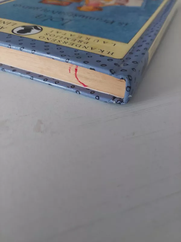 Lota iš pramuštgalvių gatvės - Astrid Lindgren, knyga 6