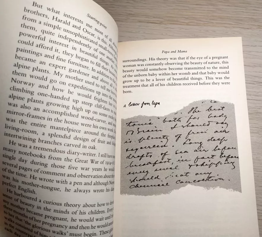 Boy Tales of Childhood - Roald Dahl, knyga 4