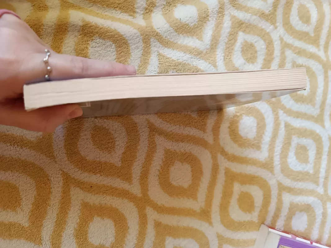 Nelaukite angelo sargo - Cornelia Heins, knyga 4