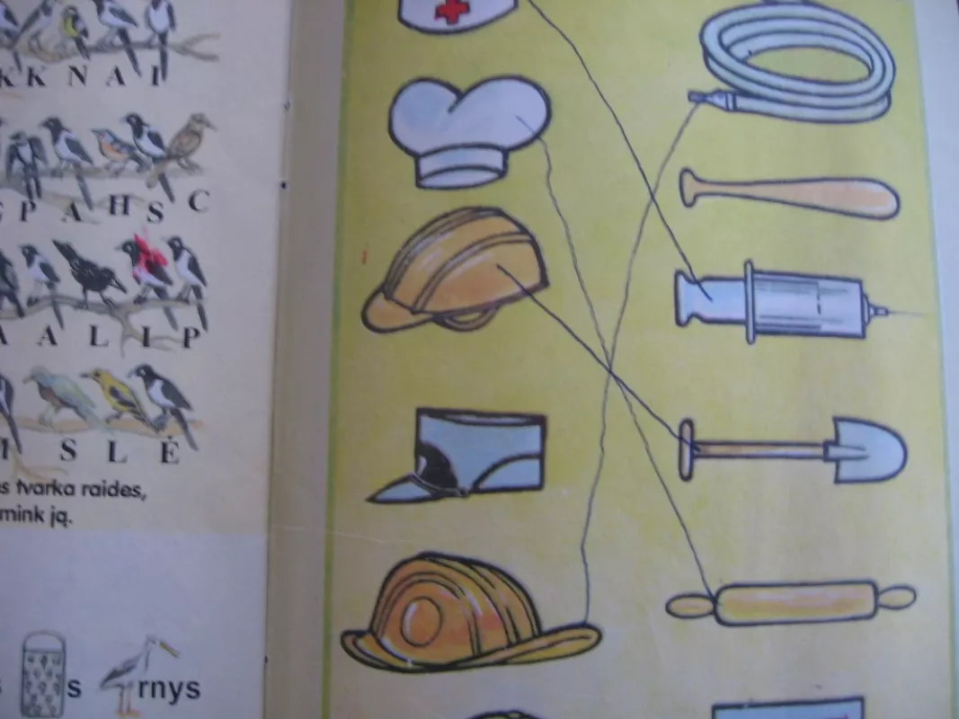 Naminukas - Įvairūs, knyga 6