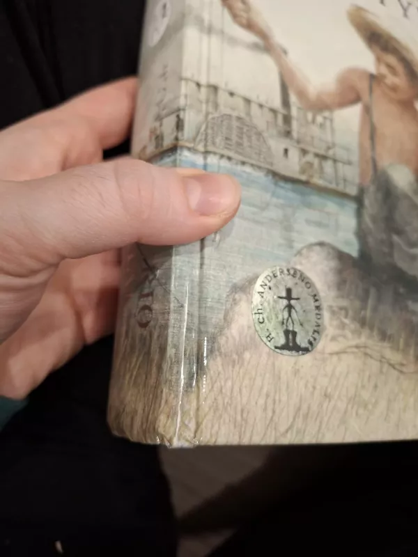 Tomo Sojerio nuotykiai - Mark Twain, knyga 4