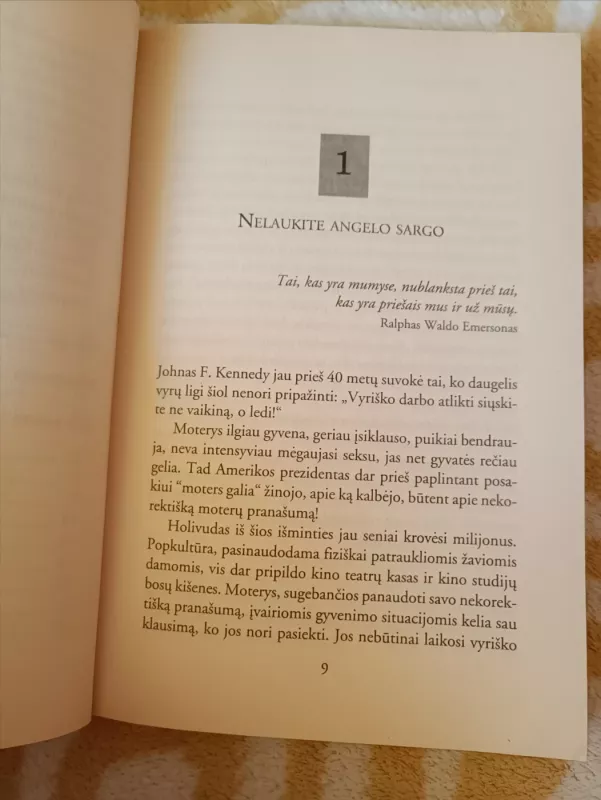 Nelaukite angelo sargo - Cornelia Heins, knyga 5