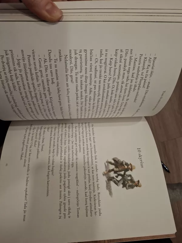 Tomo Sojerio nuotykiai - Mark Twain, knyga 4