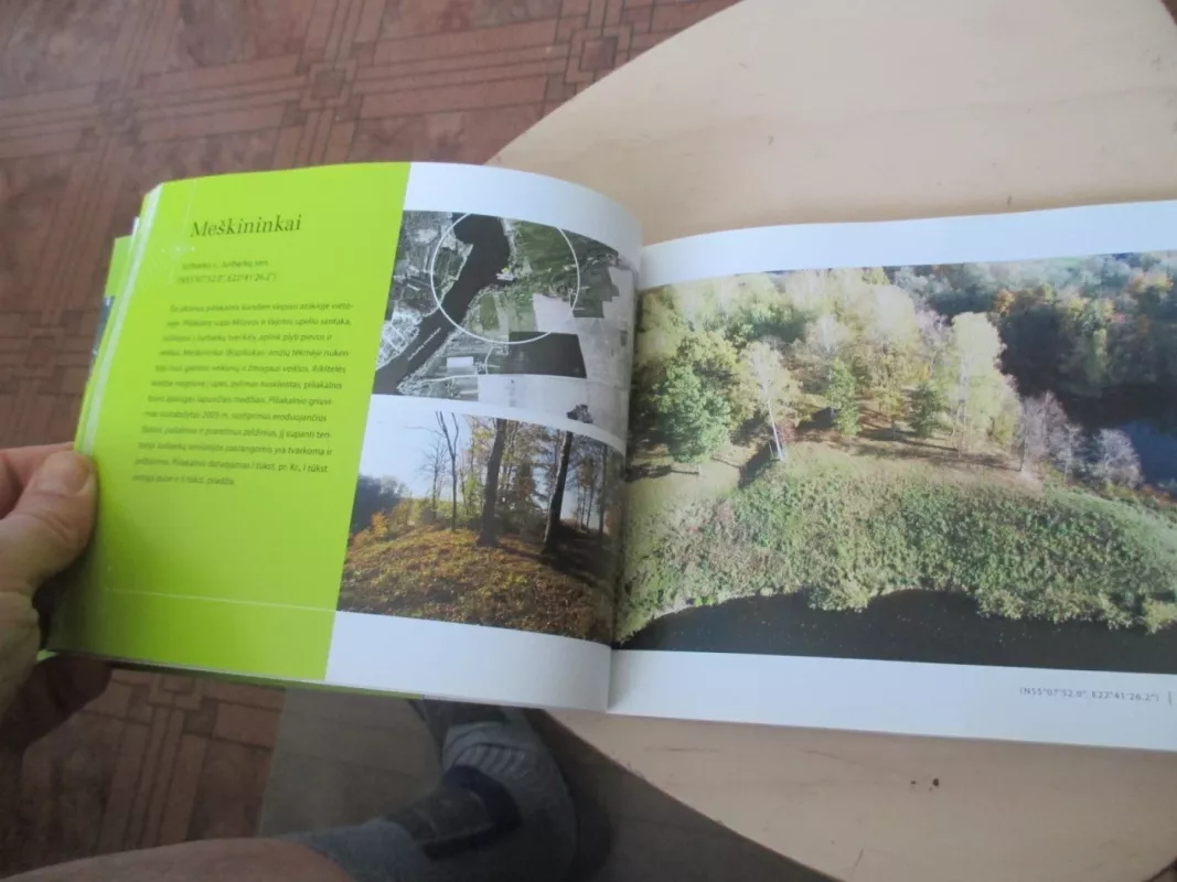 Atgimę piliakalniai - Autorių Kolektyvas, knyga 4