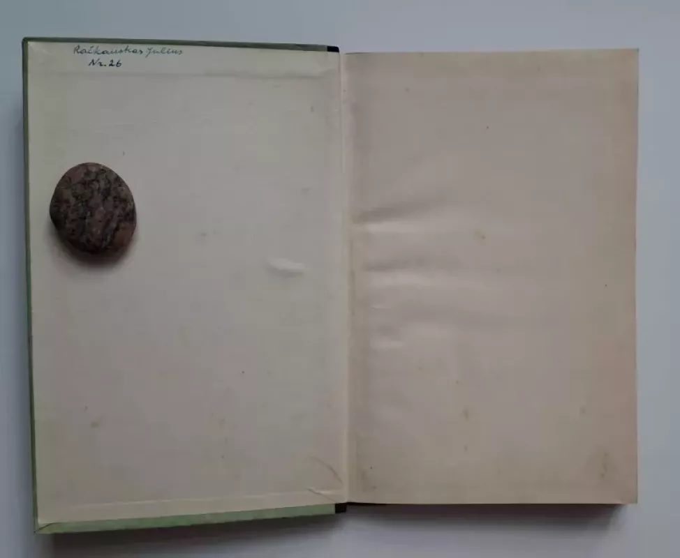 Prerijų rastinukas - Bret Hartas, knyga 3