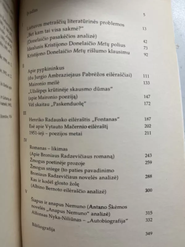 Žmogaus vaizdavimas lietuvių literatūroje - Saulius Žukas, knyga 4