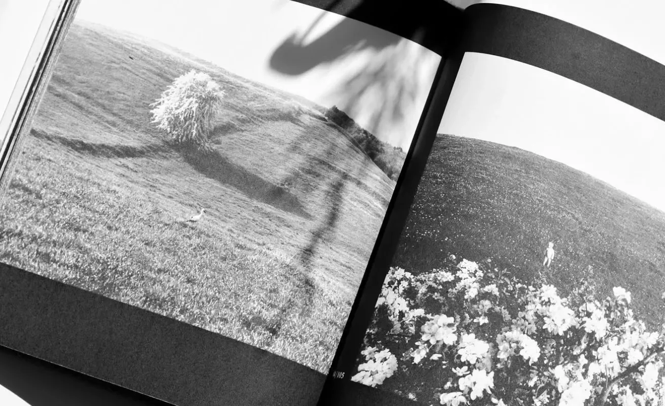 Žydėjimas - Romualdas Rakauskas, knyga 3