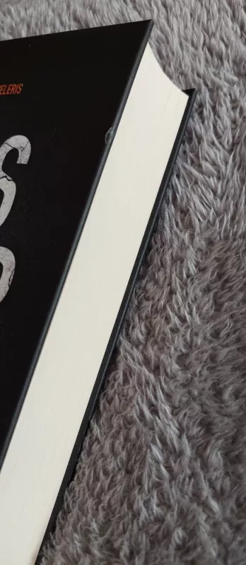 Blogio medžioklė - Chris Carter, knyga 4