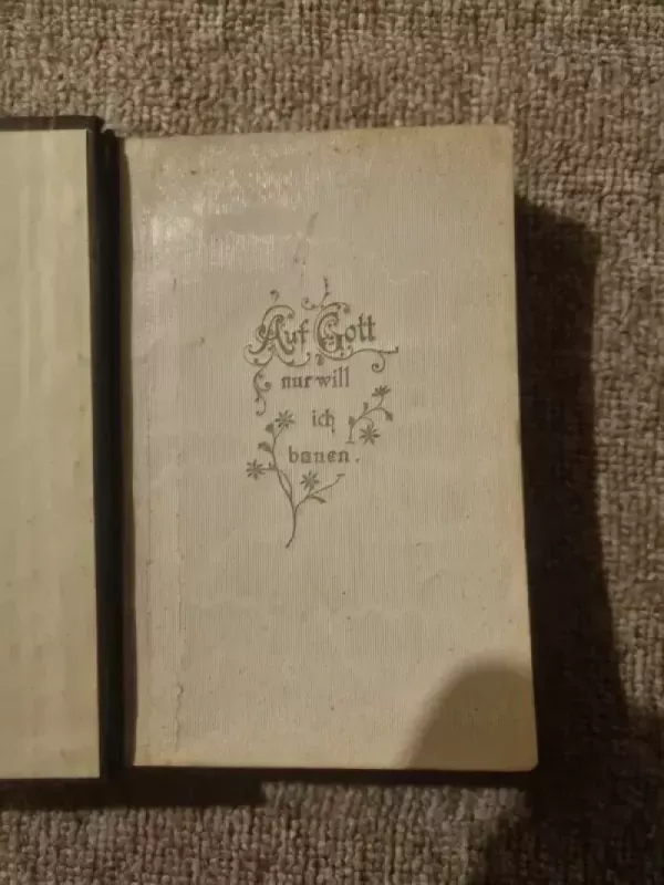 Ein feste Burg ist unser Gott - Martynas Liuteris, knyga 4