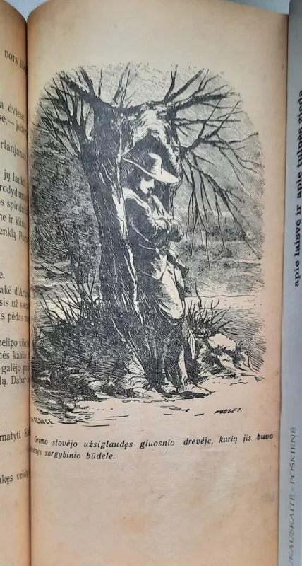 Po dvidešimties metų. II dalis. - Aleksandras Diuma, knyga 4