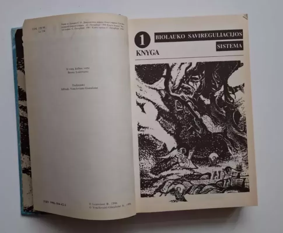 Karmos diagnostika (1-3 knygos) - Sergėjus Lazarevas, knyga 4