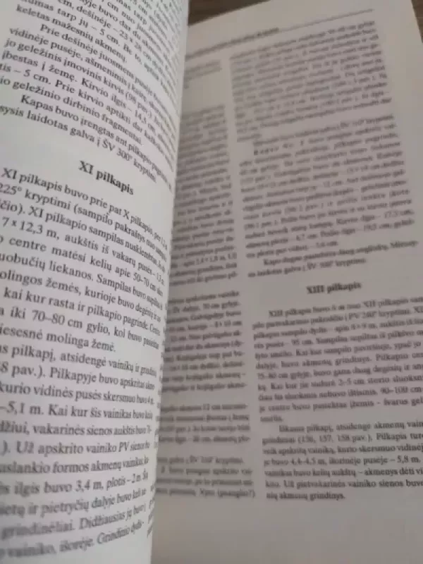 Paragaudžio pilkapynas - Mykolas Michelbertas, ir kt. , knyga 4