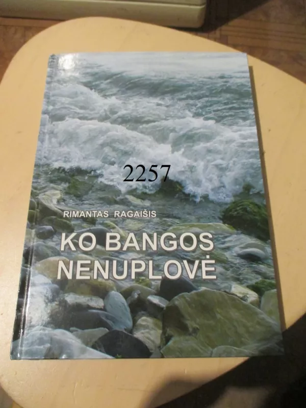 Ko bangos nenuplovė - Rimantas Ragaišis, knyga 2
