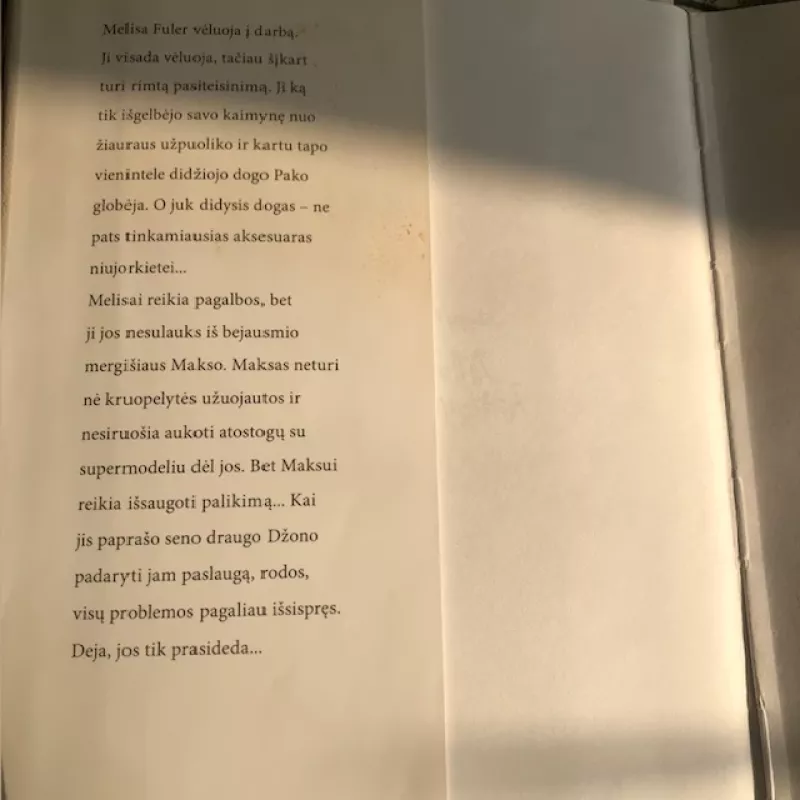 Mano kaimynas (Madame) - Meggin Cabot, knyga 3