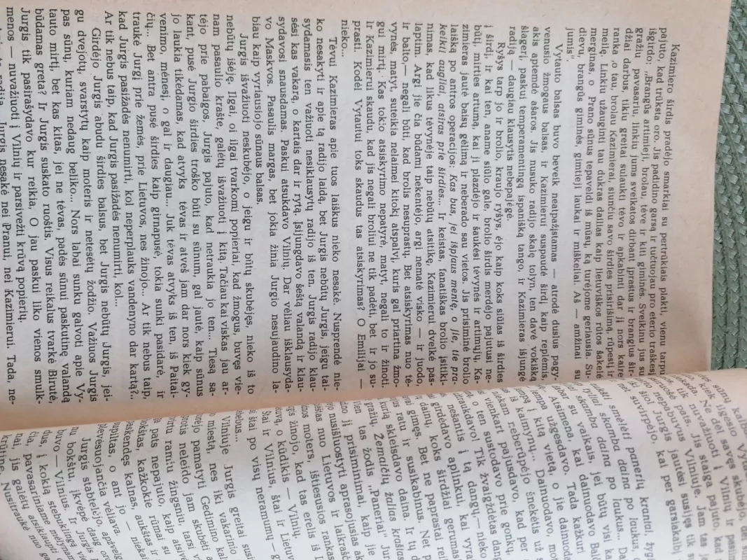 Po mūsų nebebus mūsų - Vidmantė Jasukaitytė, knyga 6