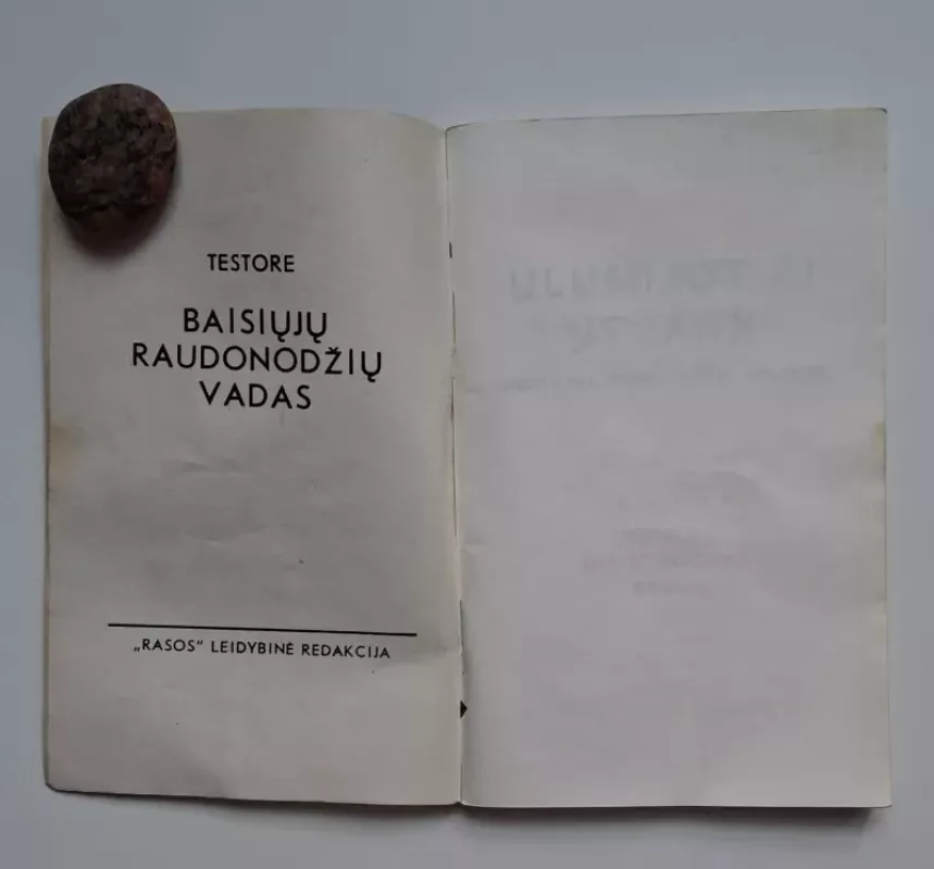 Baisiųjų raudonodžių vadas - C. Testore, knyga 3