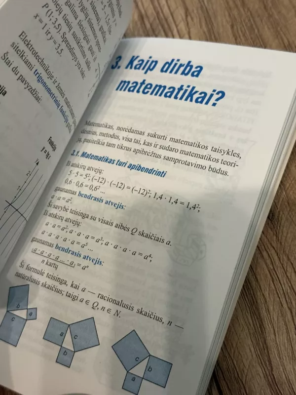 Kaip suprasti matematiką. Teminis žinynas - Udo Quak, knyga 6