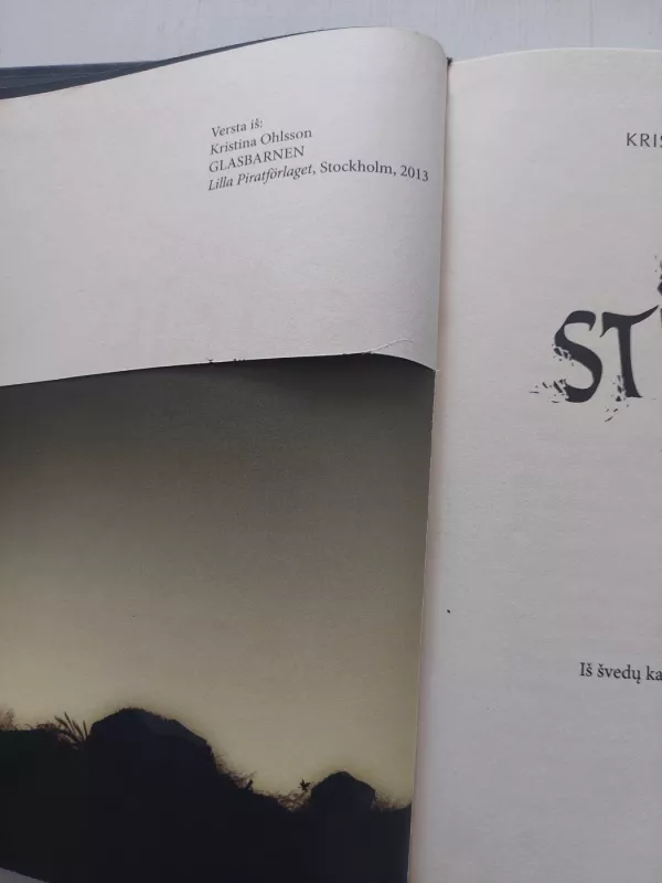 Stiklo vaikai - Ohlsson Kristina, knyga 4