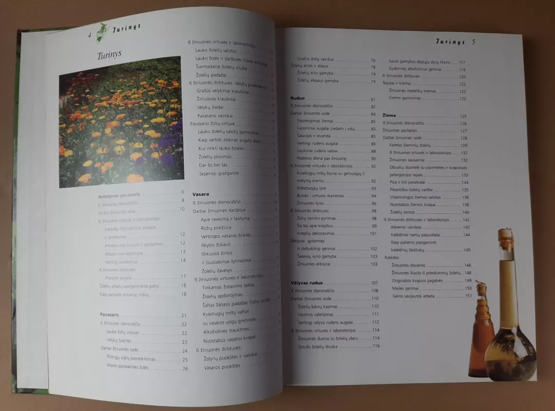 Žiniuonės užrašai - Gabrielė Bickel, knyga 4