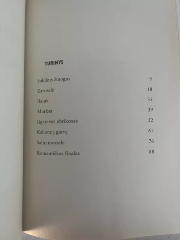 Saulėtos dienos - Antanas Škėma, knyga 4