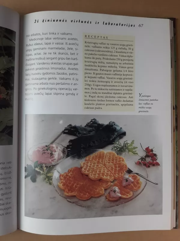 Žiniuonės užrašai - Gabrielė Bickel, knyga 6