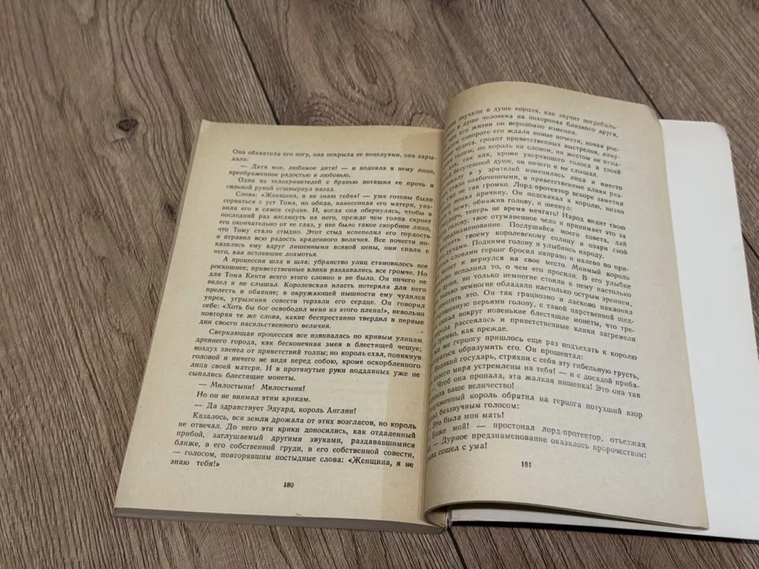 Princas ir elgeta - Markas Tvenas, knyga 5