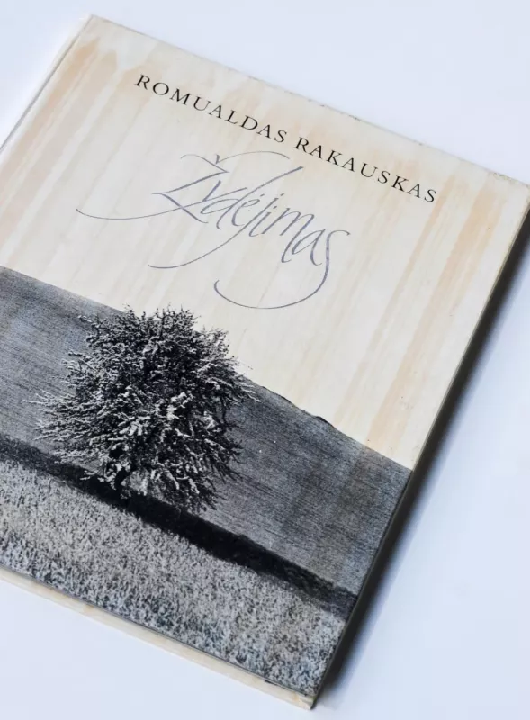 Žydėjimas - Romualdas Rakauskas, knyga 4