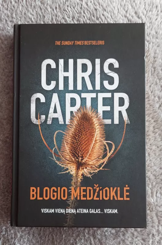 Blogio medžioklė - Chris Carter, knyga 2