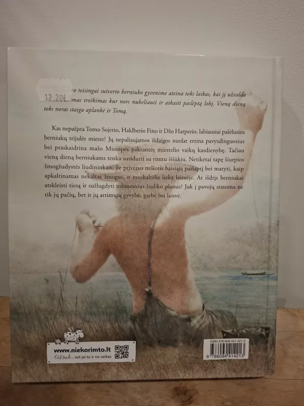 Tomo Sojerio nuotykiai - Mark Twain, knyga 6