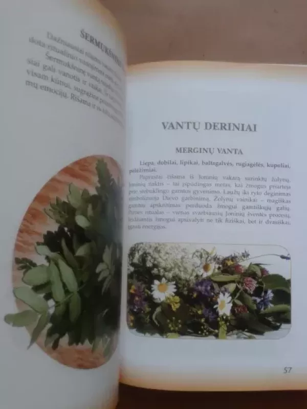 Augalai pirčiai - Grupė autorių , knyga 3